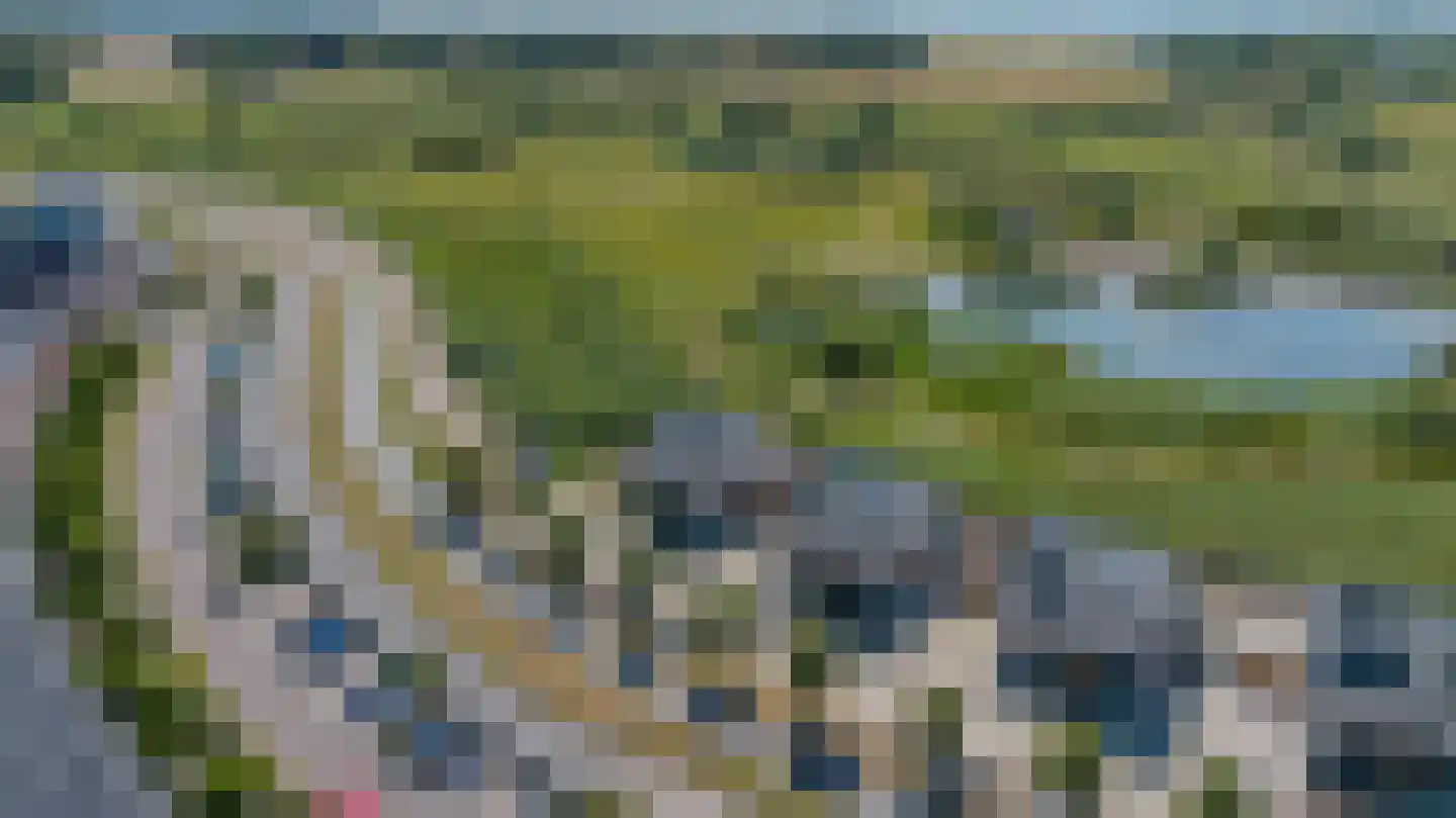 Rietgors 21 Bergen op Zoom thumbnail 44