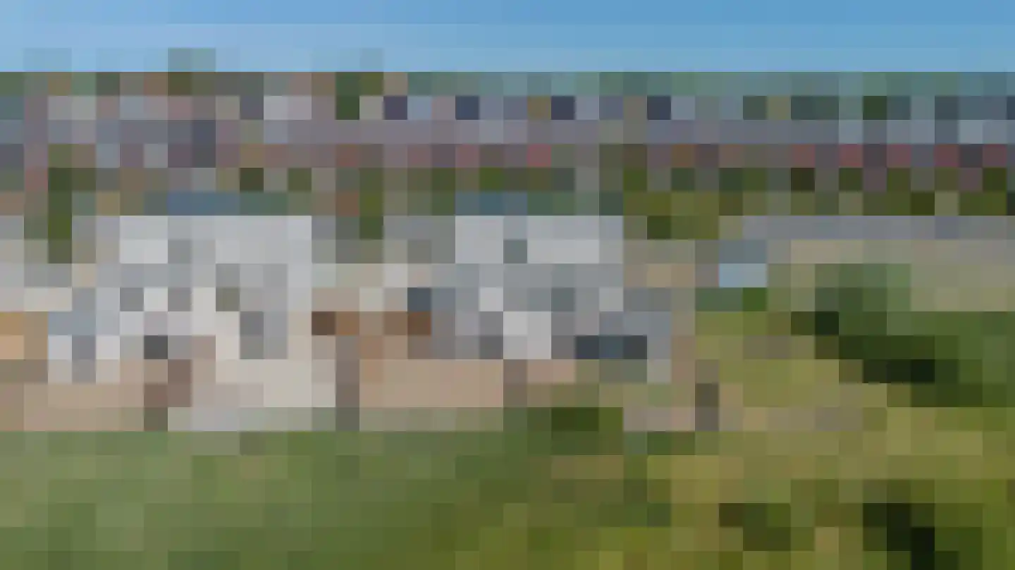 Rietgors 21 Bergen op Zoom thumbnail 46