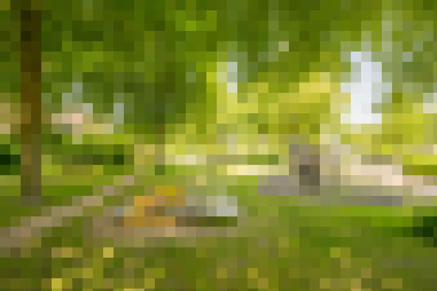 Rietgors 21 Leusden thumbnail 44