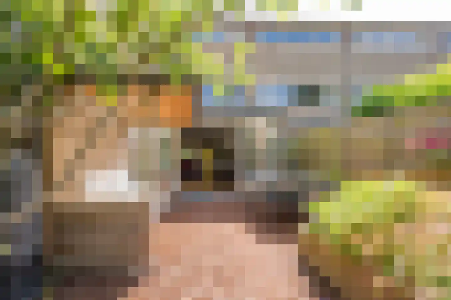 Rietgors 21 Leusden thumbnail 6