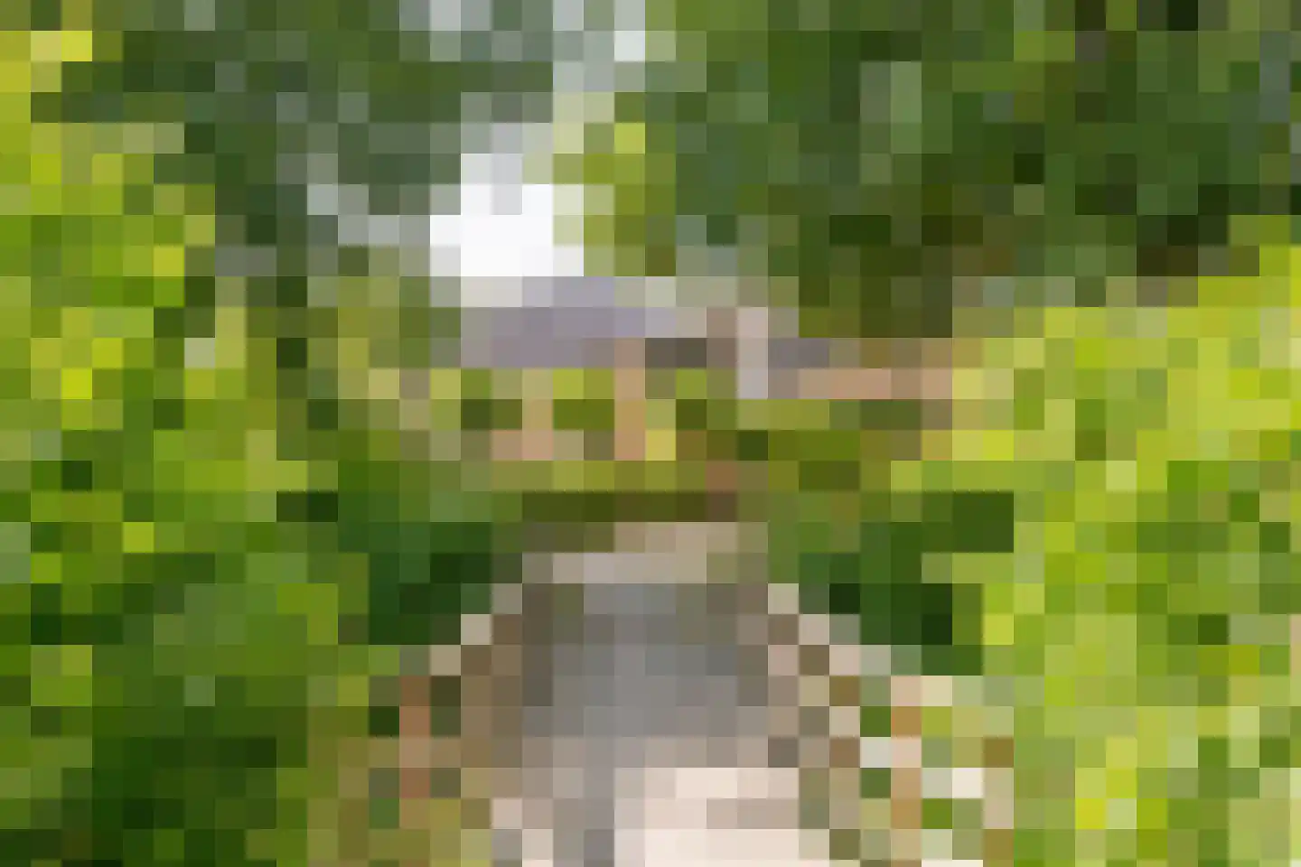 Rietgors 21 Leusden thumbnail 9