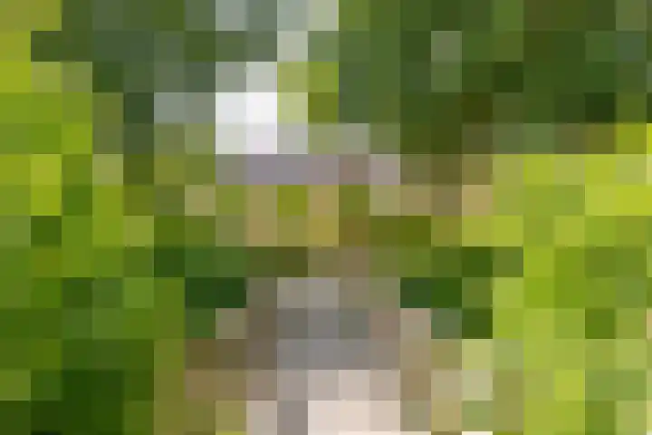 Rietgors 21 Leusden thumbnail 9