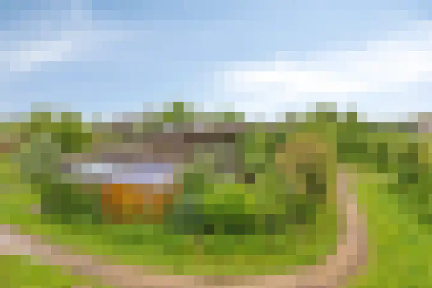 Rietgors 24 Olst