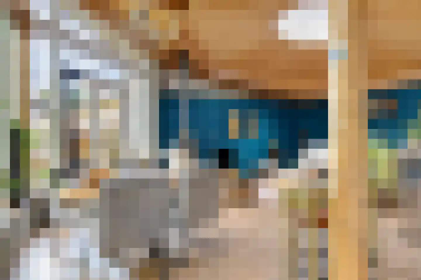 Rietgors 24 Olst thumbnail 13
