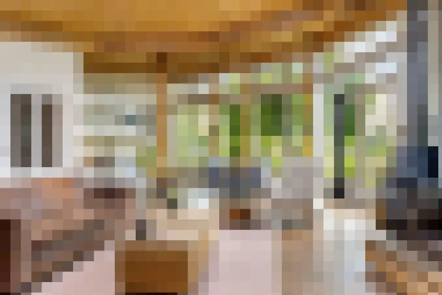 Rietgors 24 Olst thumbnail 16