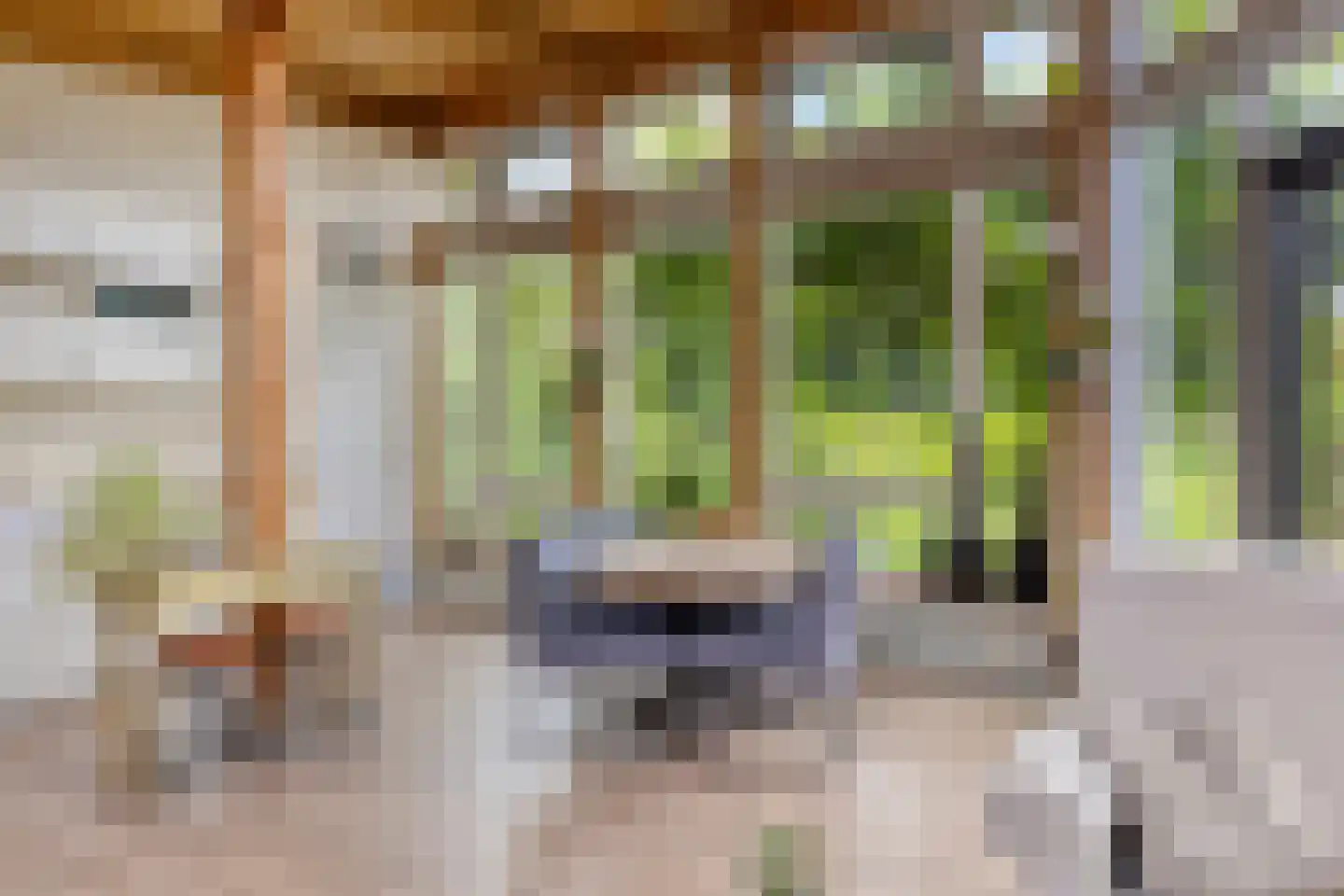 Rietgors 24 Olst thumbnail 19