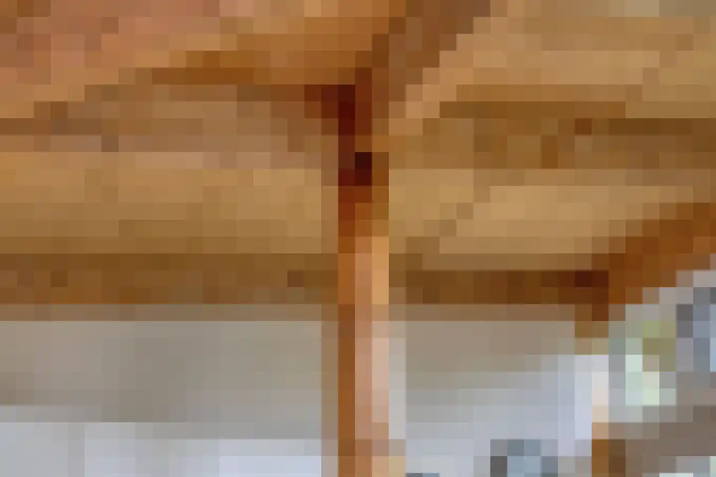 Rietgors 24 Olst thumbnail 23