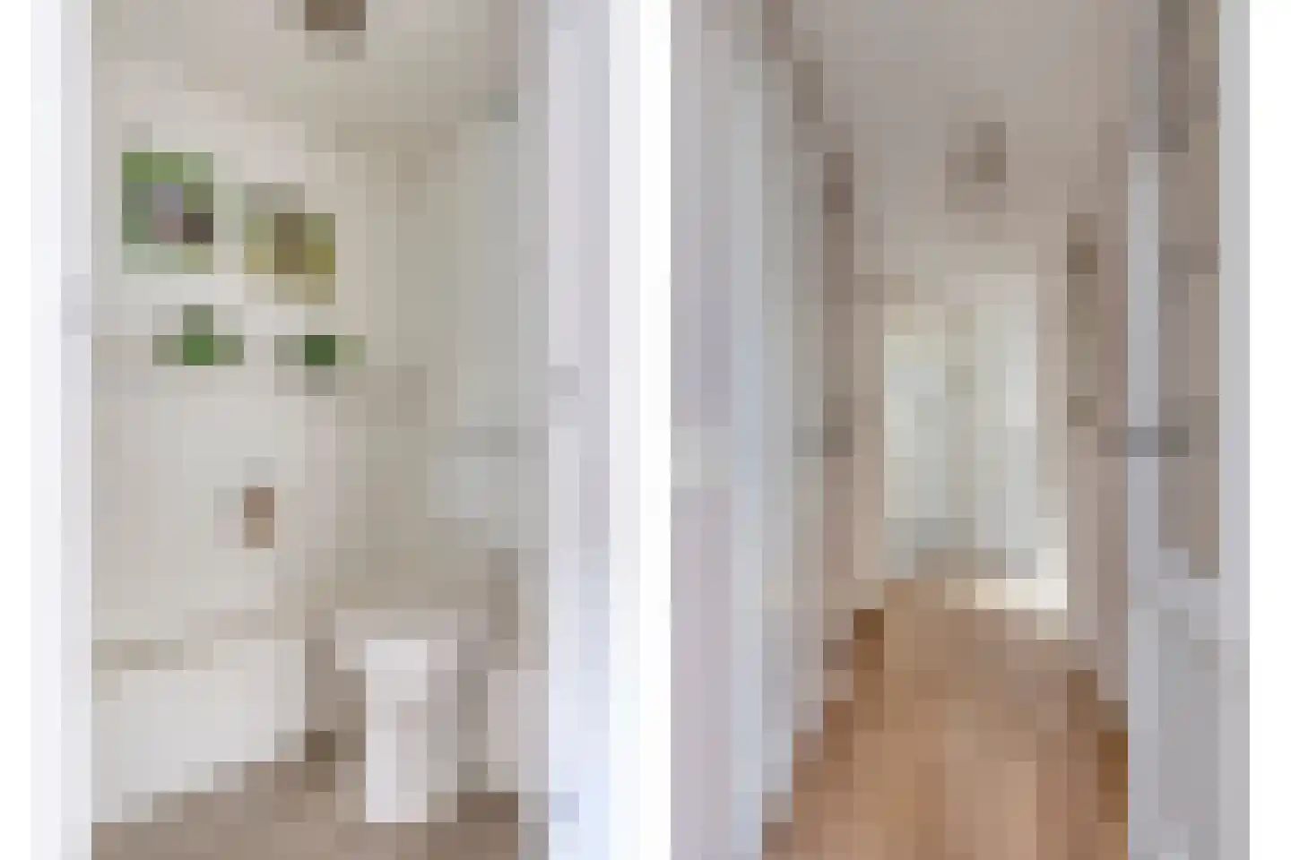 Rietgors 24 Olst thumbnail 25