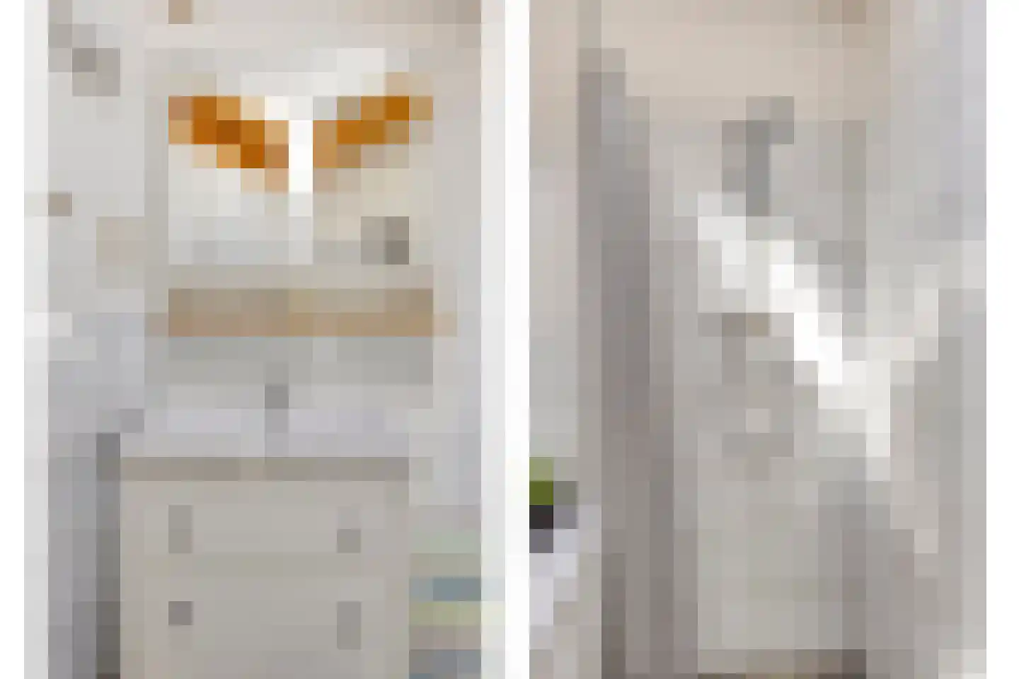 Rietgors 24 Olst thumbnail 30