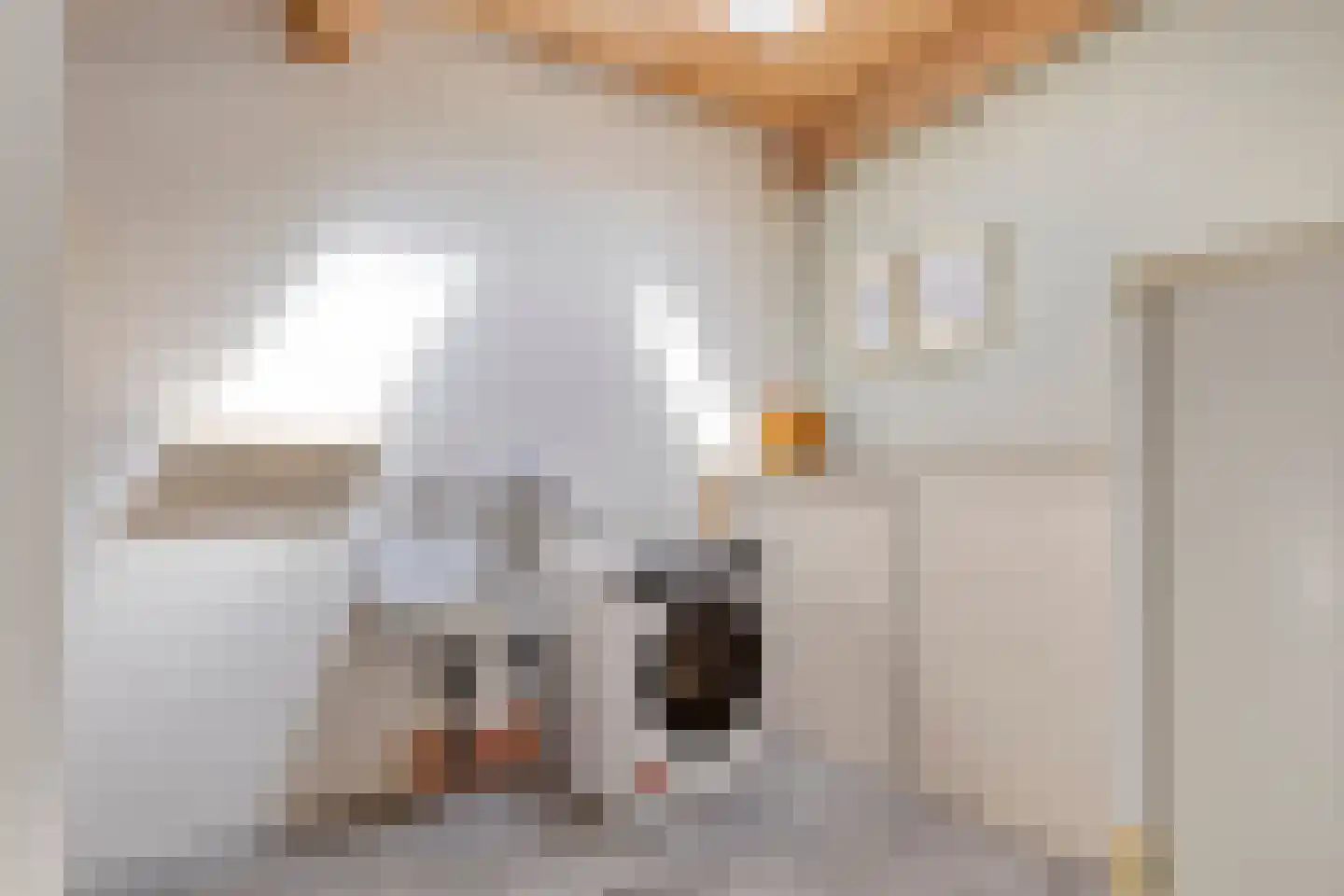 Rietgors 24 Olst thumbnail 33