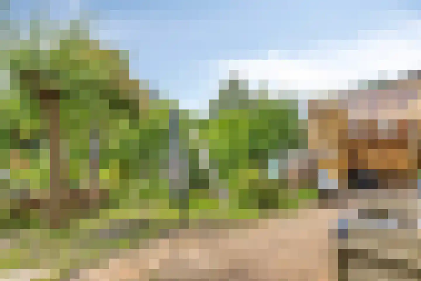 Rietgors 24 Olst thumbnail 34