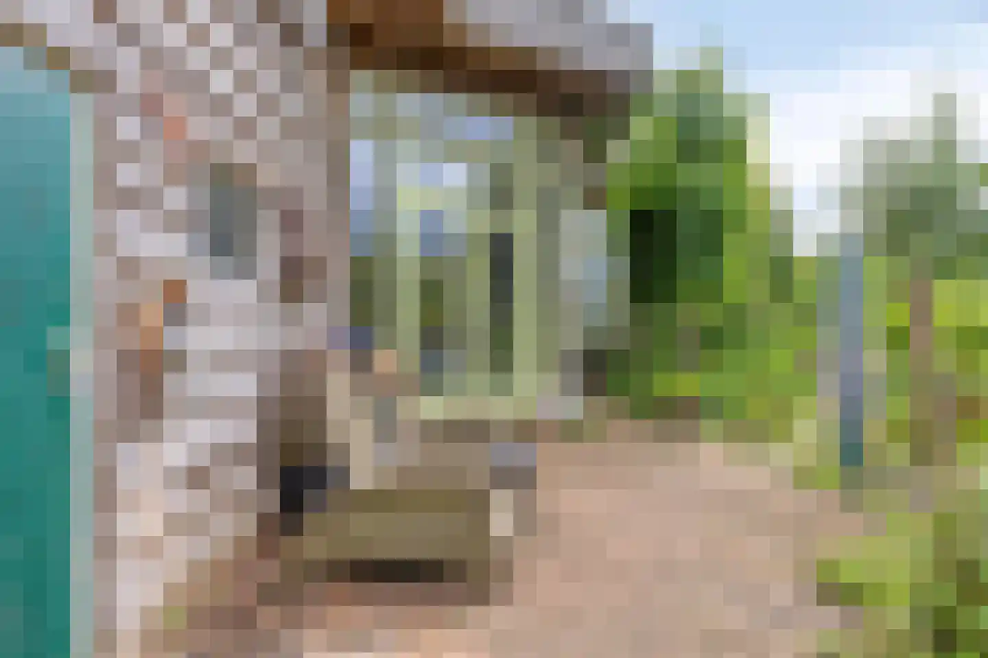 Rietgors 24 Olst thumbnail 35