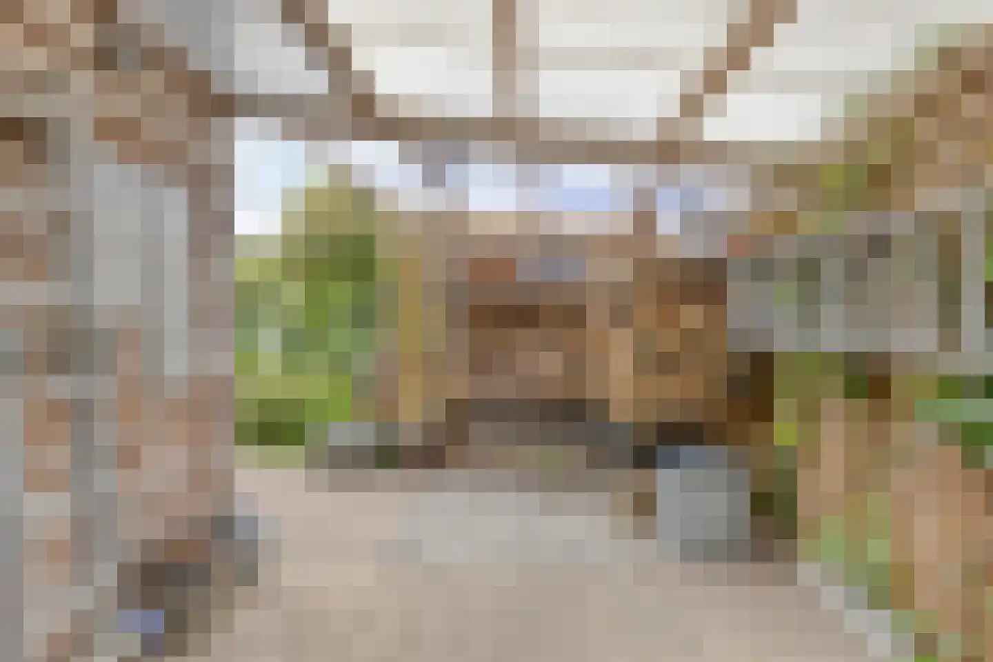 Rietgors 24 Olst thumbnail 36