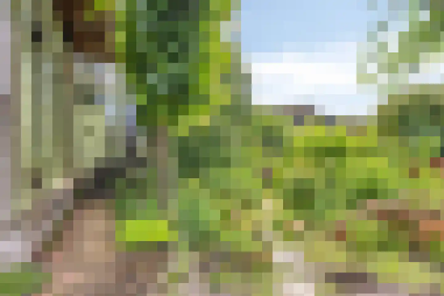 Rietgors 24 Olst thumbnail 38