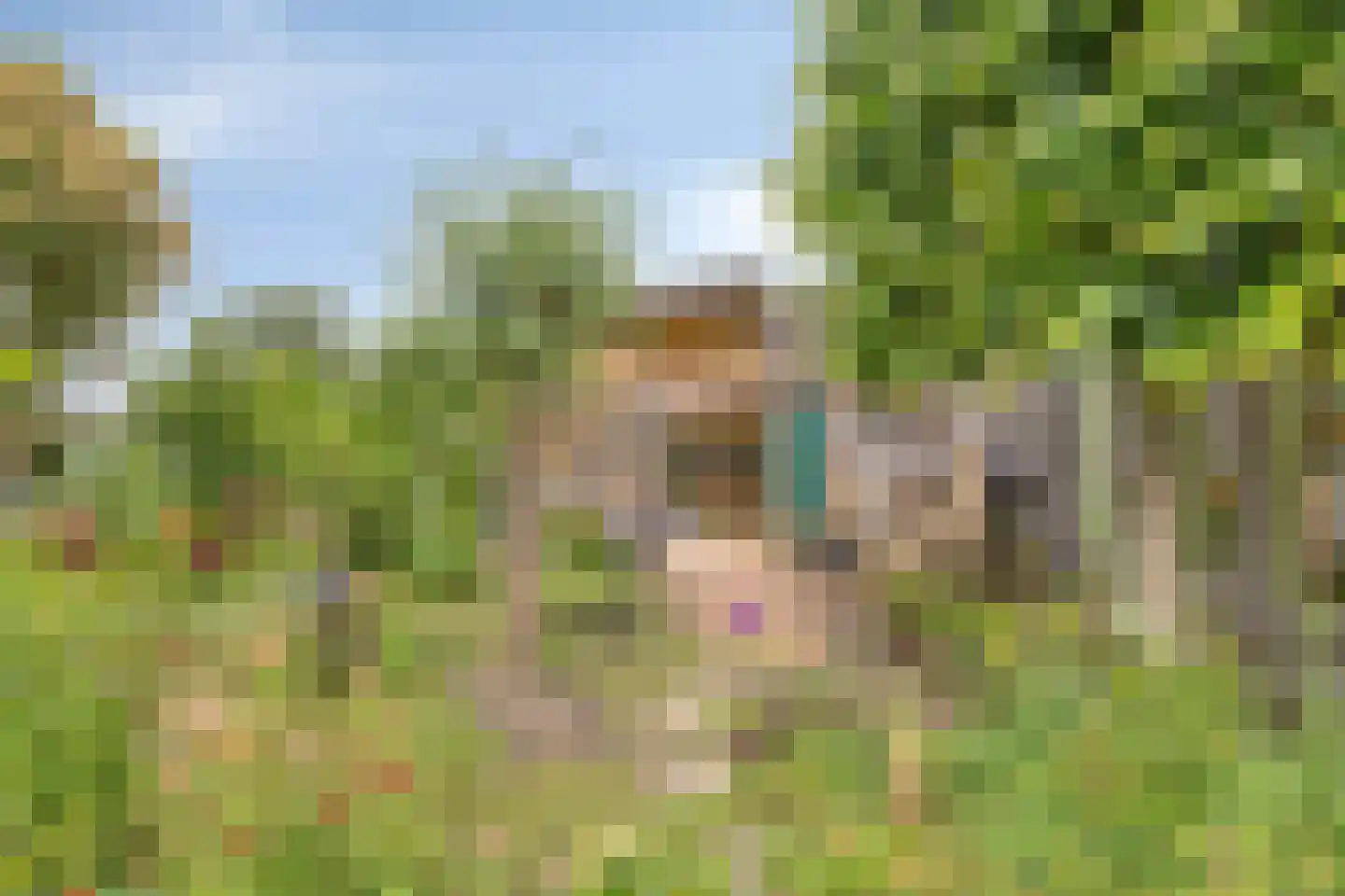 Rietgors 24 Olst thumbnail 39