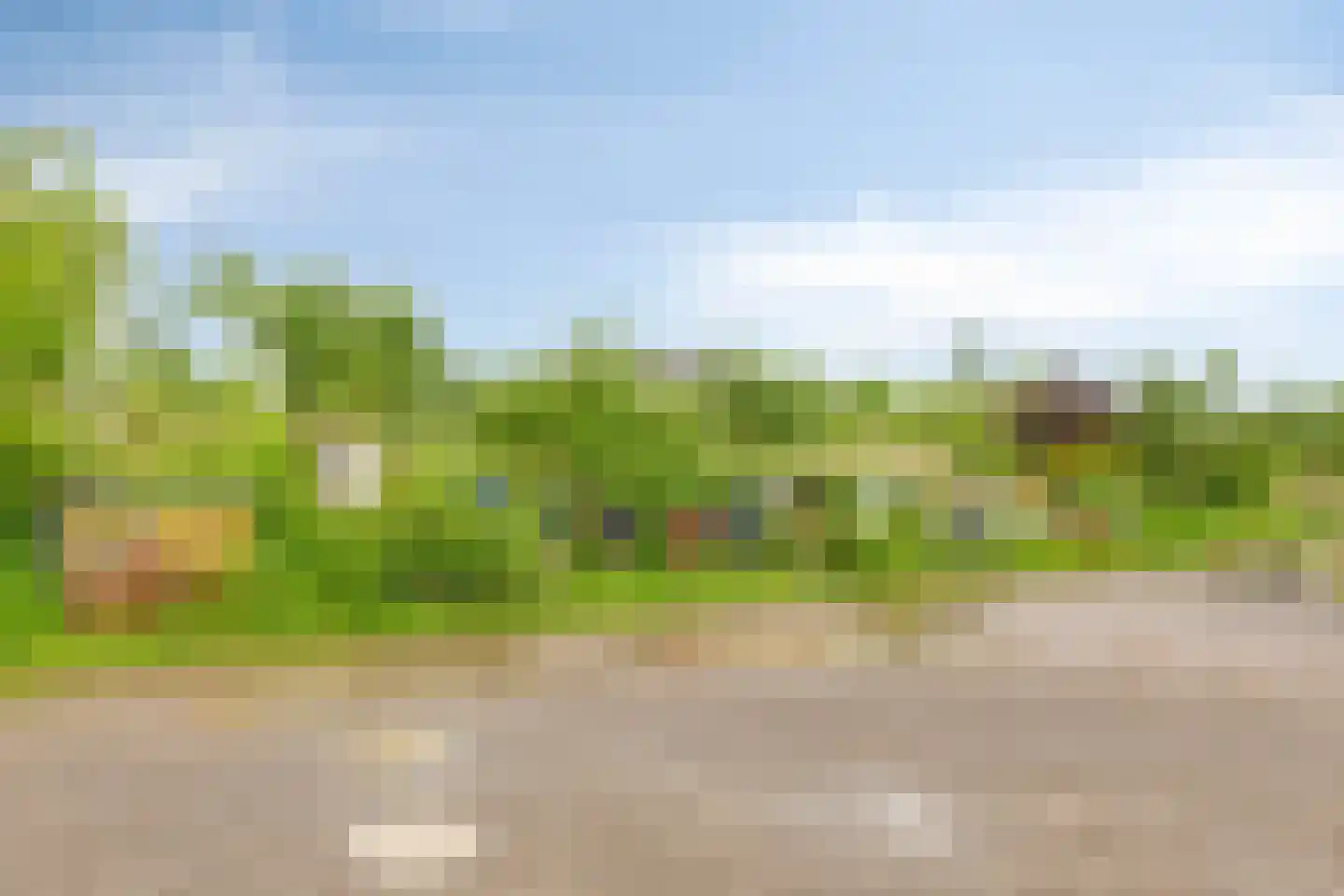 Rietgors 24 Olst thumbnail 42