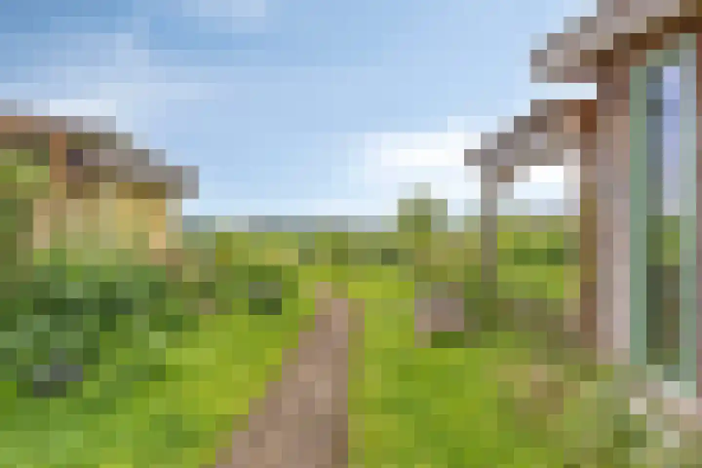 Rietgors 24 Olst thumbnail 44