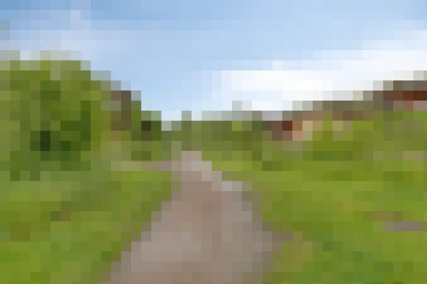 Rietgors 24 Olst thumbnail 45