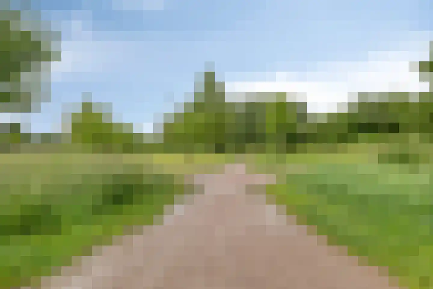 Rietgors 24 Olst thumbnail 46