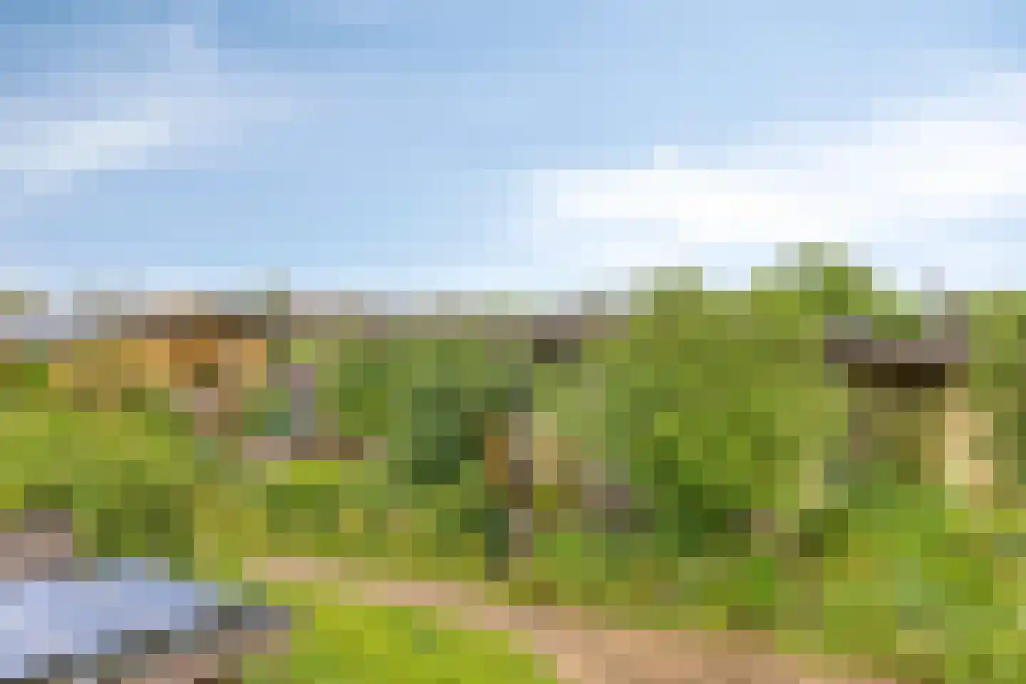 Rietgors 24 Olst thumbnail 5