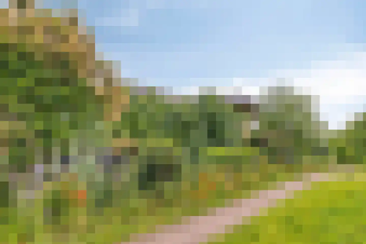 Rietgors 24 Olst thumbnail 7