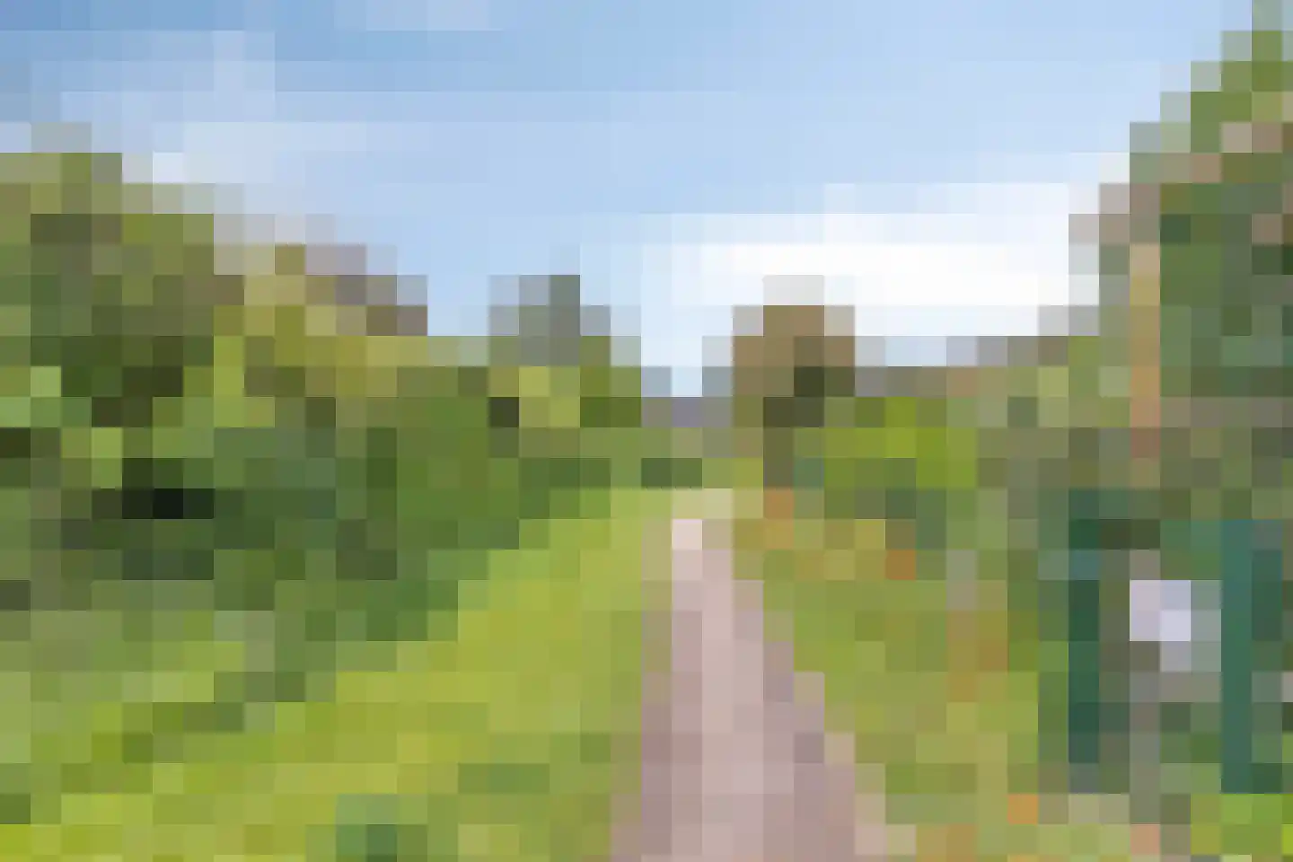 Rietgors 24 Olst thumbnail 8