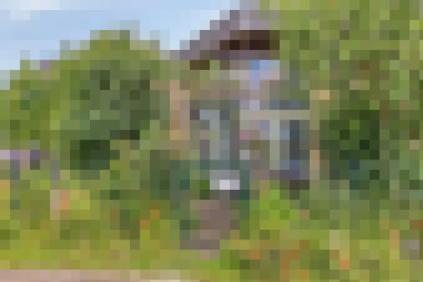 Rietgors 24 Olst thumbnail 9
