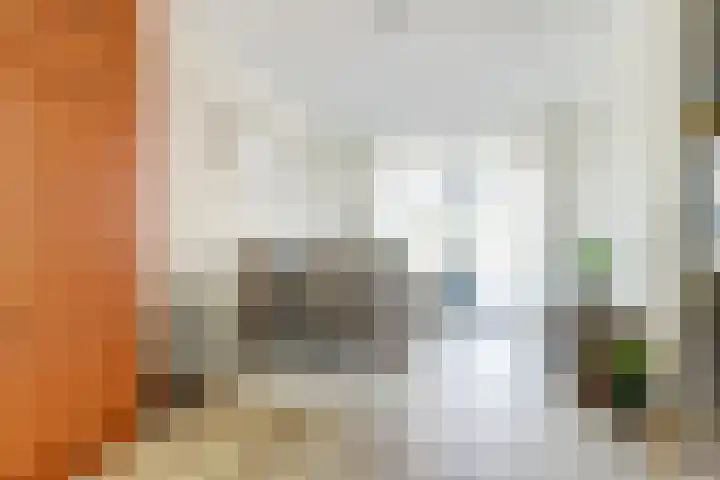 Rietgors 24 Zuid-Beijerland thumbnail 11