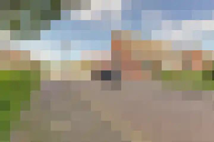 Rietgors 24 Zuid-Beijerland thumbnail 23