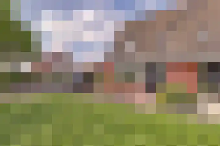 Rietgors 24 Zuid-Beijerland thumbnail 24