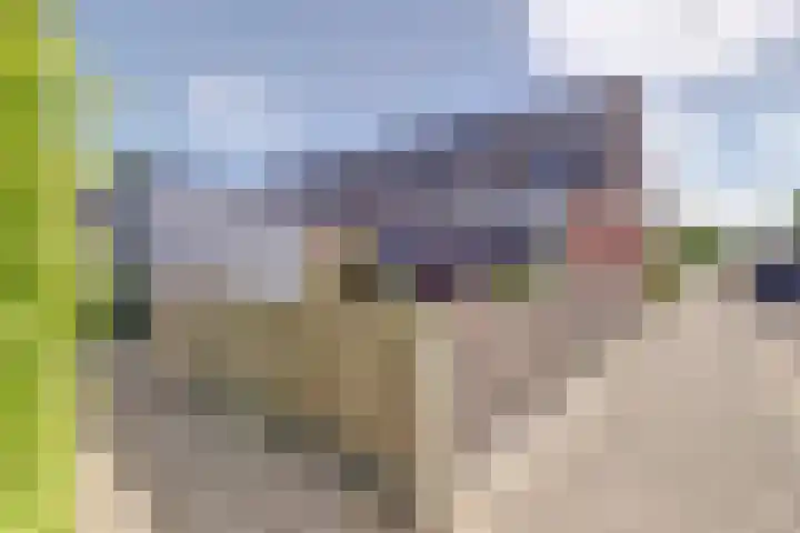Rietgors 24 Zuid-Beijerland thumbnail 25