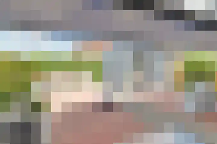 Rietgors 24 Zuid-Beijerland thumbnail 26