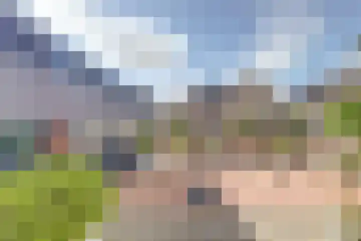 Rietgors 24 Zuid-Beijerland thumbnail 27