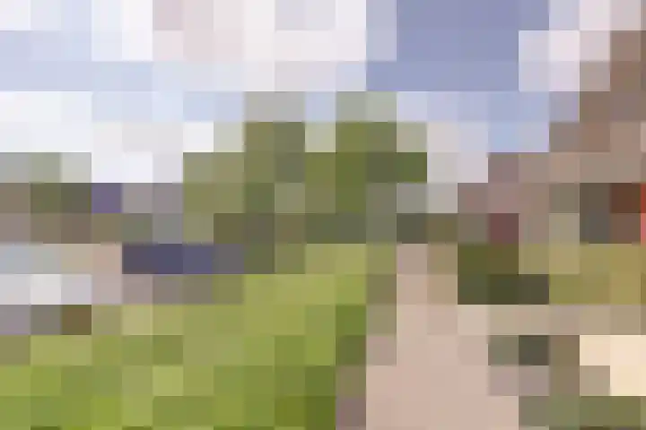 Rietgors 24 Zuid-Beijerland thumbnail 28