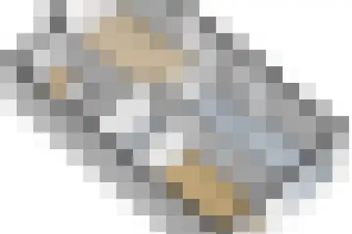 Rietgors 24 Zuid-Beijerland thumbnail 34