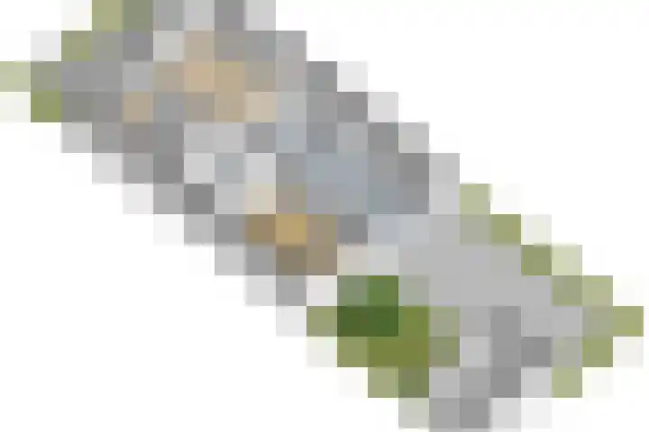 Rietgors 24 Zuid-Beijerland thumbnail 35