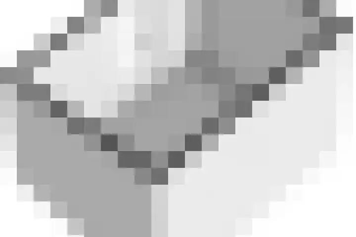 Rietgors 24 Zuid-Beijerland thumbnail 37