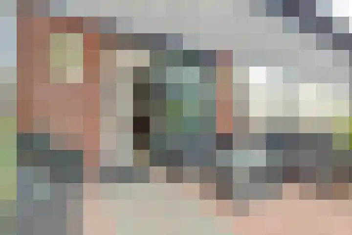 Rietgors 24 Zuid-Beijerland thumbnail 4