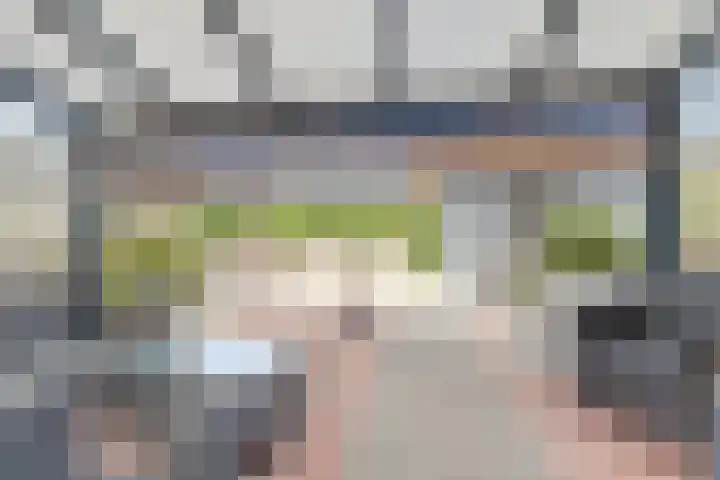 Rietgors 24 Zuid-Beijerland thumbnail 5