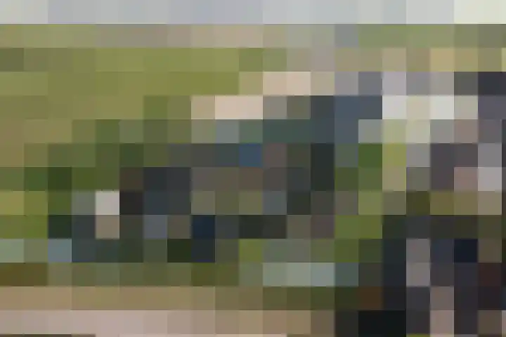 Rietgors 26 Goudswaard thumbnail 4