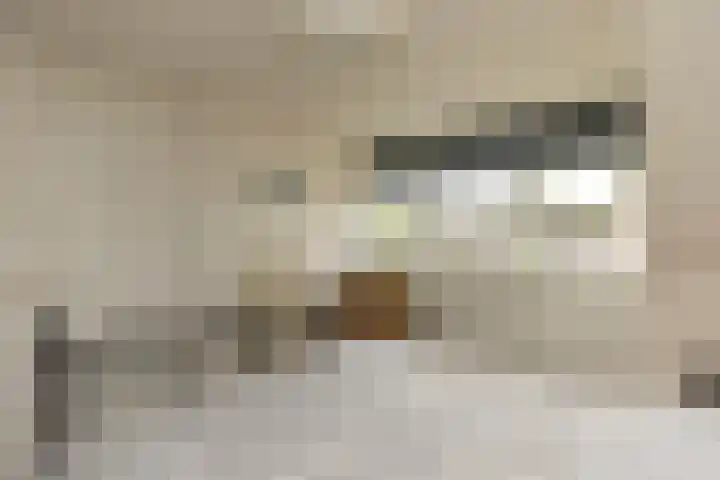 Rietgors 267 Barendrecht thumbnail 35