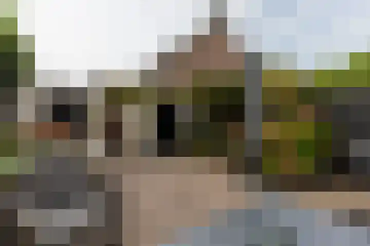 Rietgors 267 Barendrecht thumbnail 4
