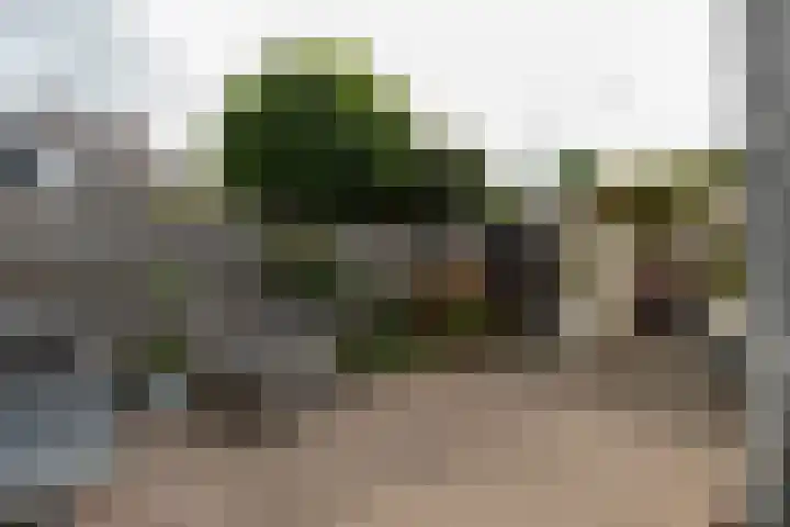Rietgors 267 Barendrecht thumbnail 40