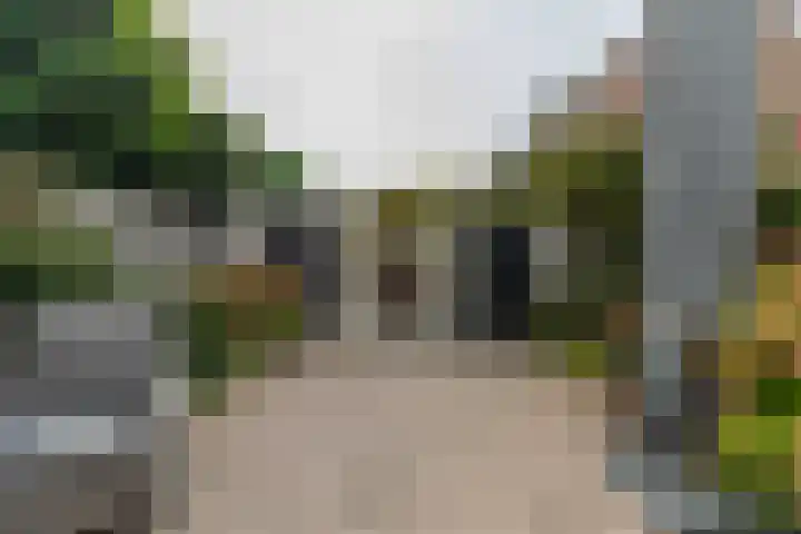 Rietgors 267 Barendrecht thumbnail 41