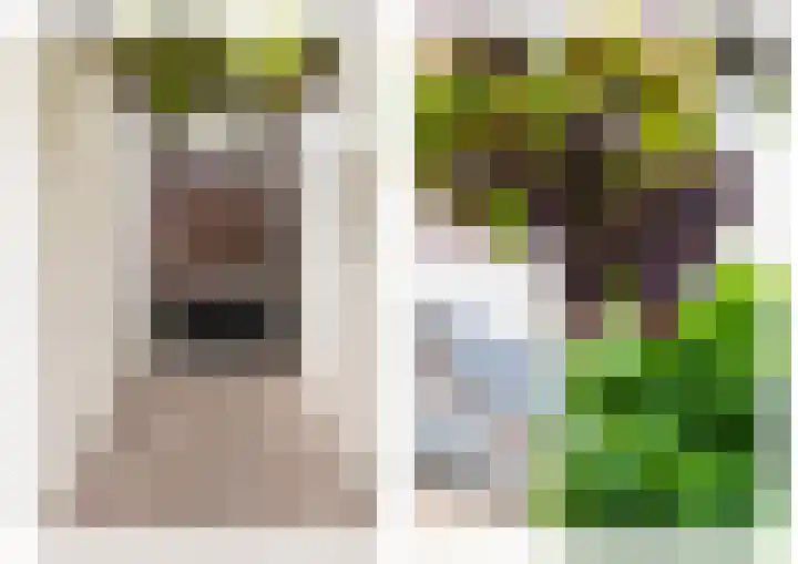 Rietgors 267 Barendrecht thumbnail 45