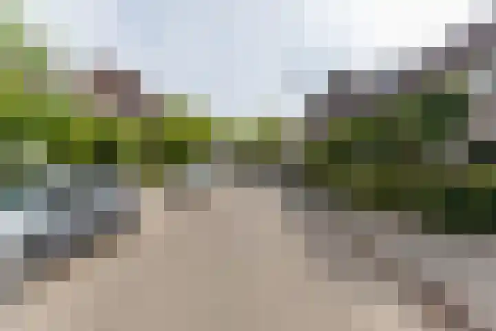 Rietgors 267 Barendrecht thumbnail 46