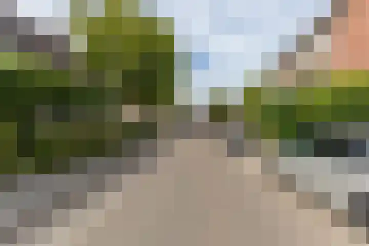 Rietgors 267 Barendrecht thumbnail 47