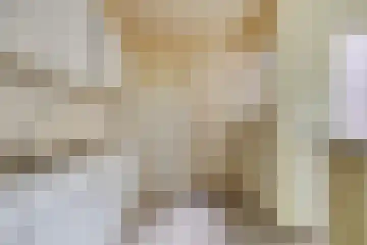 Rietgors 27 Deurne thumbnail 13