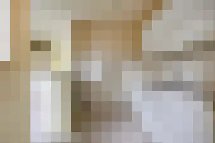 Rietgors 27 Deurne thumbnail 14