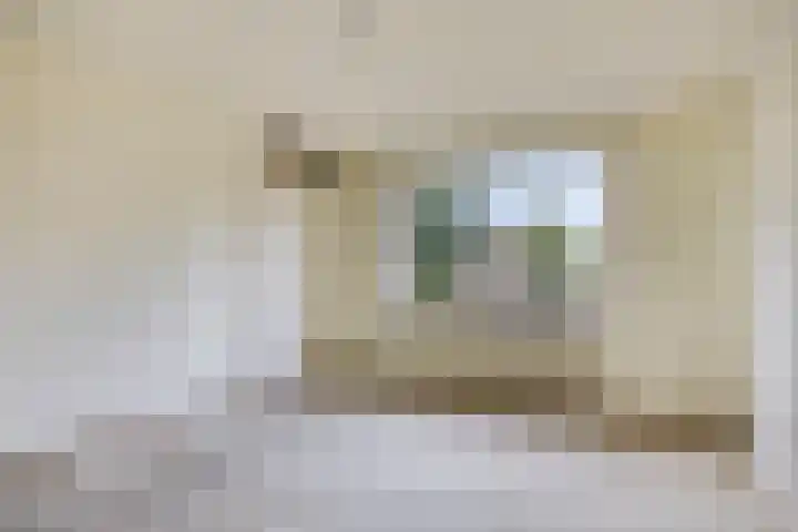 Rietgors 27 Deurne thumbnail 22
